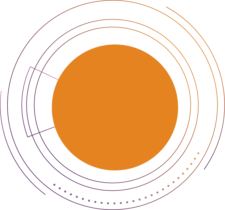 a orange circle with purple lines als Symbolbild für Softwareanalyse und Migraton