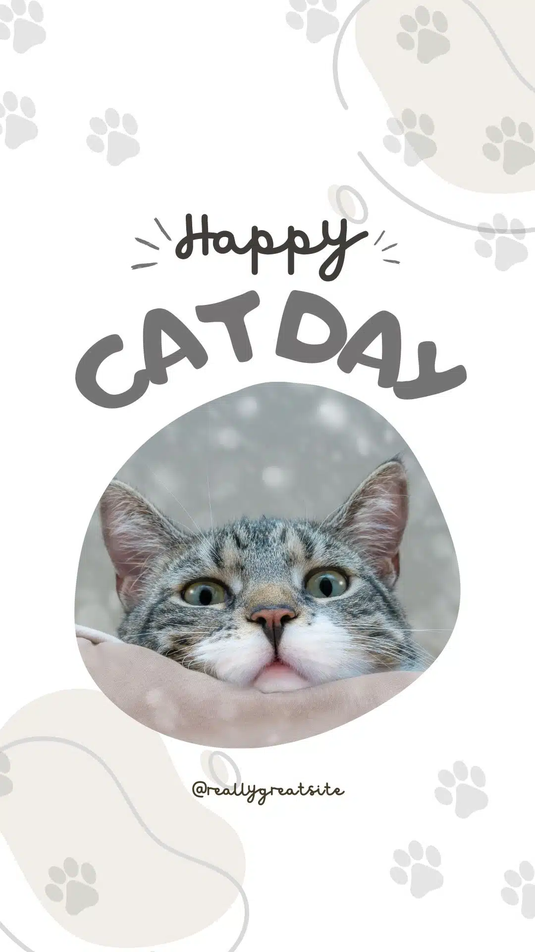 Weltkatzentag und barrierefreie Webseiten ;-)