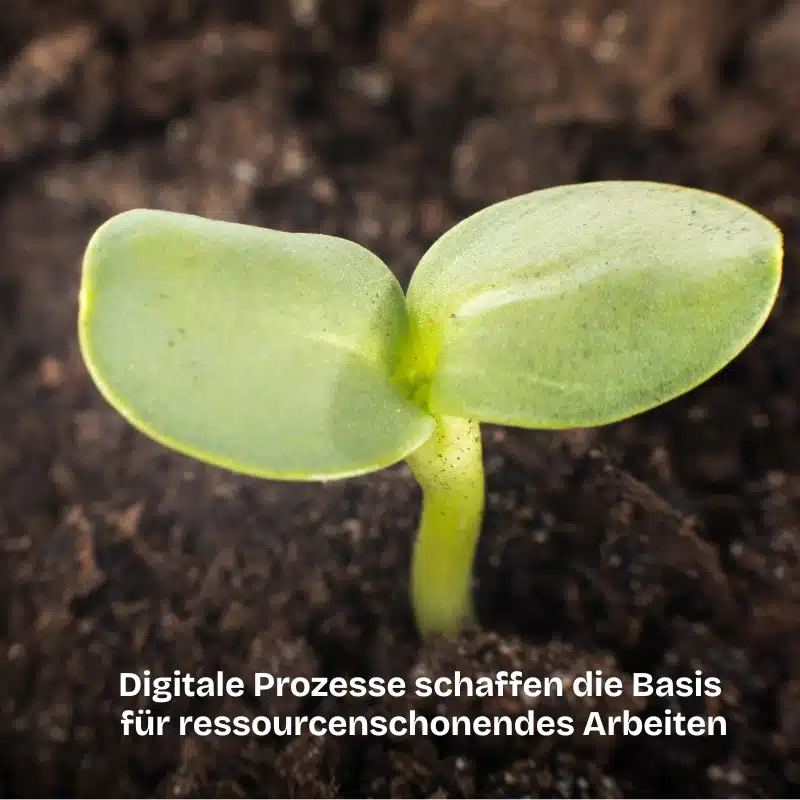 Wie Unternehmen durch digitale Prozesse Ressourcen schonen und effizienter arbeiten können: